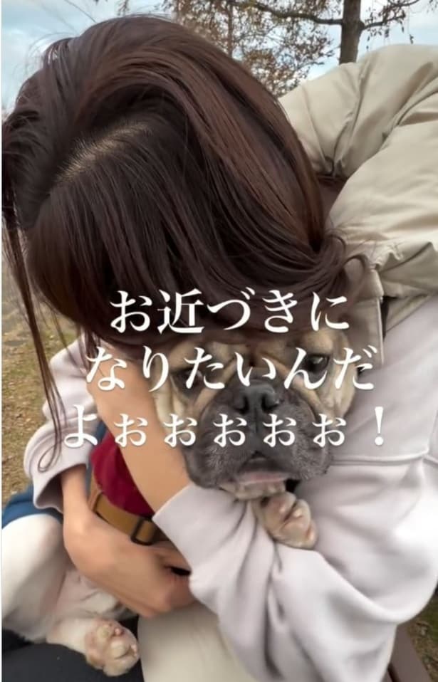 他の犬にとびつこうとするのを必死に止める飼い主さん▶（⇒次ページからコミックエッセイ『犬ぽんちゃん、今日もわが道を行く』を読めます）