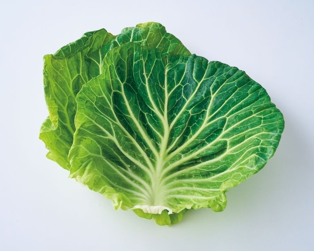 キャベツの外葉と軸