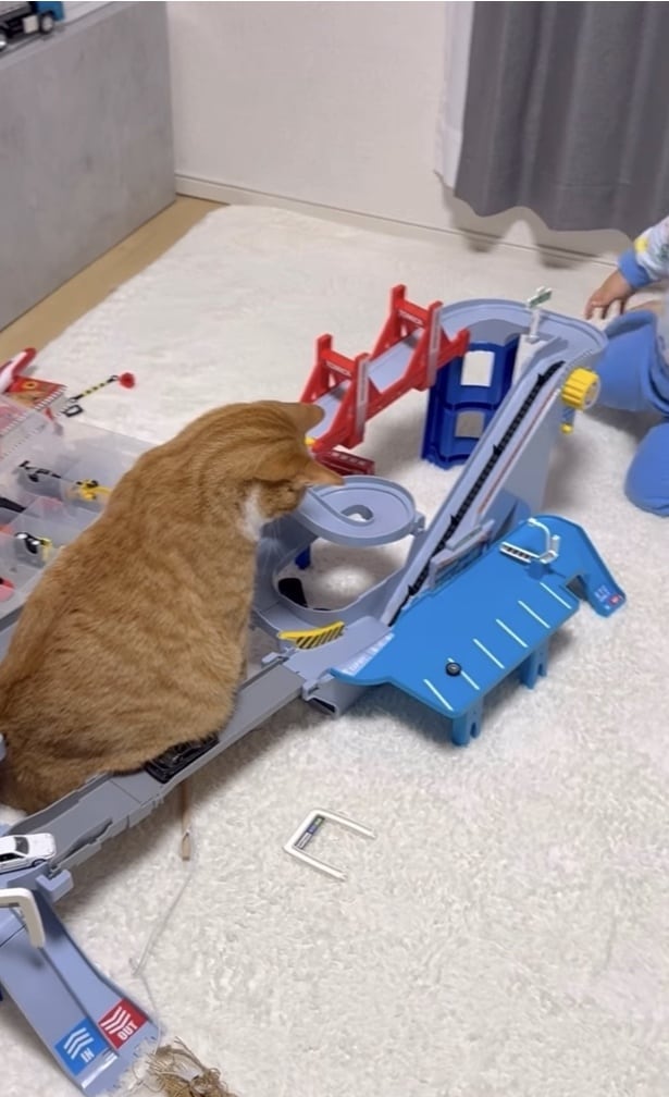 ミニカーがお腹のお肉に引っかかっている（⇒次へ）