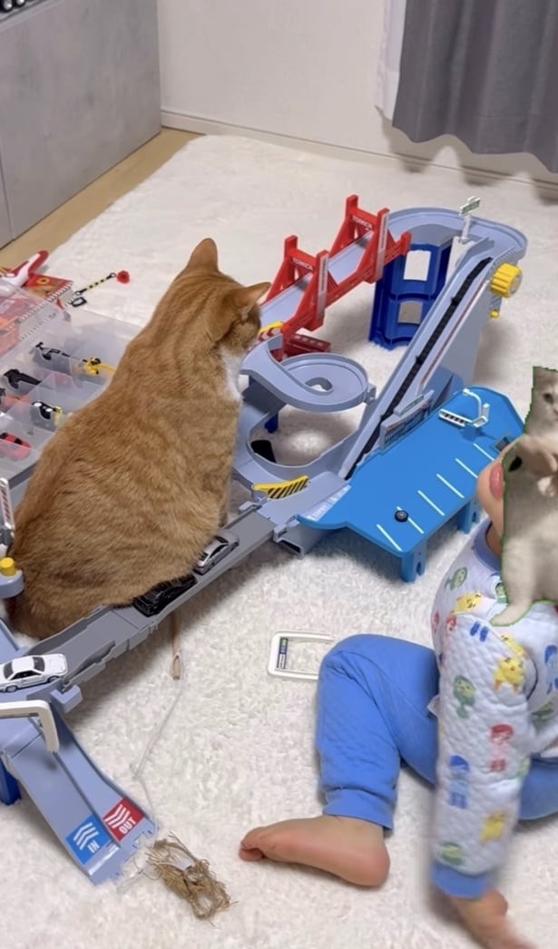 「腹渋滞」にお手上げ状態の息子くん▶腹渋滞のはじまりは…（⇒次へ）