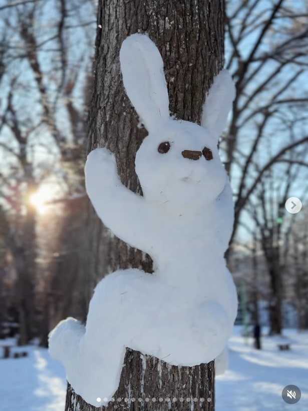 両手両足で木登りをしている雪うさぎ▶顔もしっかりした表情(⇒次へ)