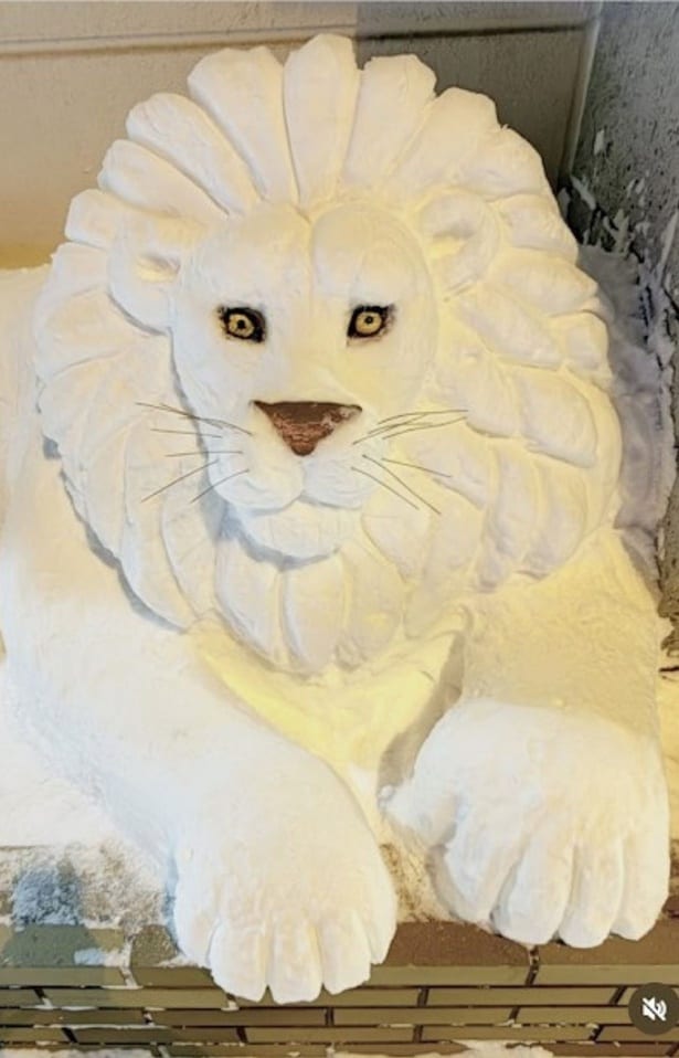 本物そっくりなライオン▶次に現れたのは大きな体の一部（⇒次へ）