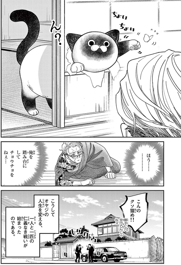 こんのクソ猫め!!