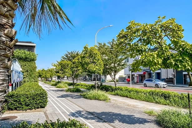 緑が映える横浜の道