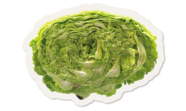 これって捨てるべき? ちょっと心配な野菜の「食べられるor食べられない」をプロが指南