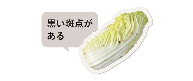 白菜は成長段階での環境により、黒い斑点が出る場合があります