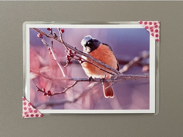 マステがフォトフレームに！まずはカットから…（▶次へ）