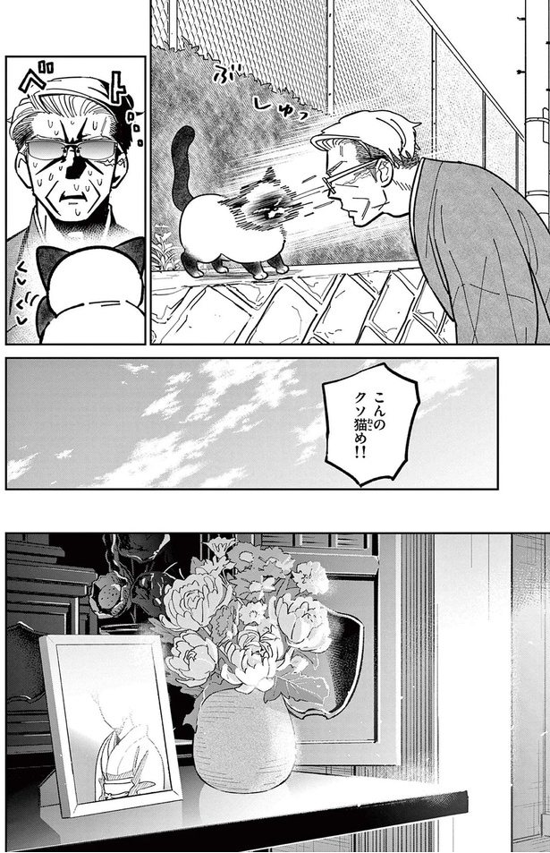 こんのクソ猫め！