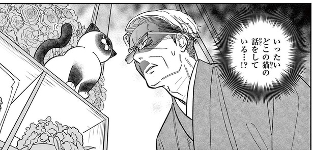 キャラ変わってる!? 近所の花屋にいたのは見覚えのある野良猫だが