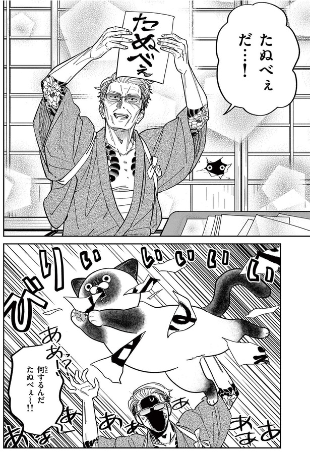 たぬべぇだ...！