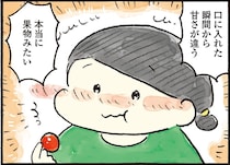 甘くて濃い！フルーツトマトを心ゆくまで楽しむ1000円ごほうび