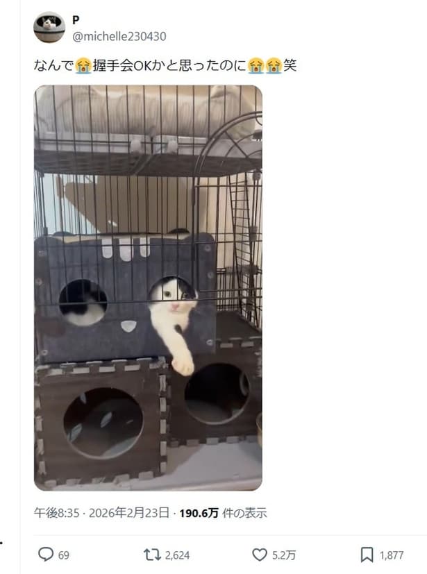 話題のポスト「握手会OKかと思ったのに…」▶ケージの中にいるのは…（⇒次へ）