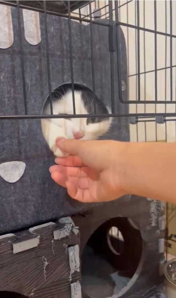 やっぱり手を引っ込められてしまいました▶怒っているわけではないけれど（⇒次へ）