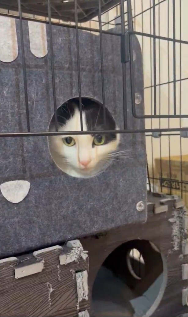 チラッとこっちを見るお顔が可愛いですね！▶握手はNGでしたが…（⇒次へ）