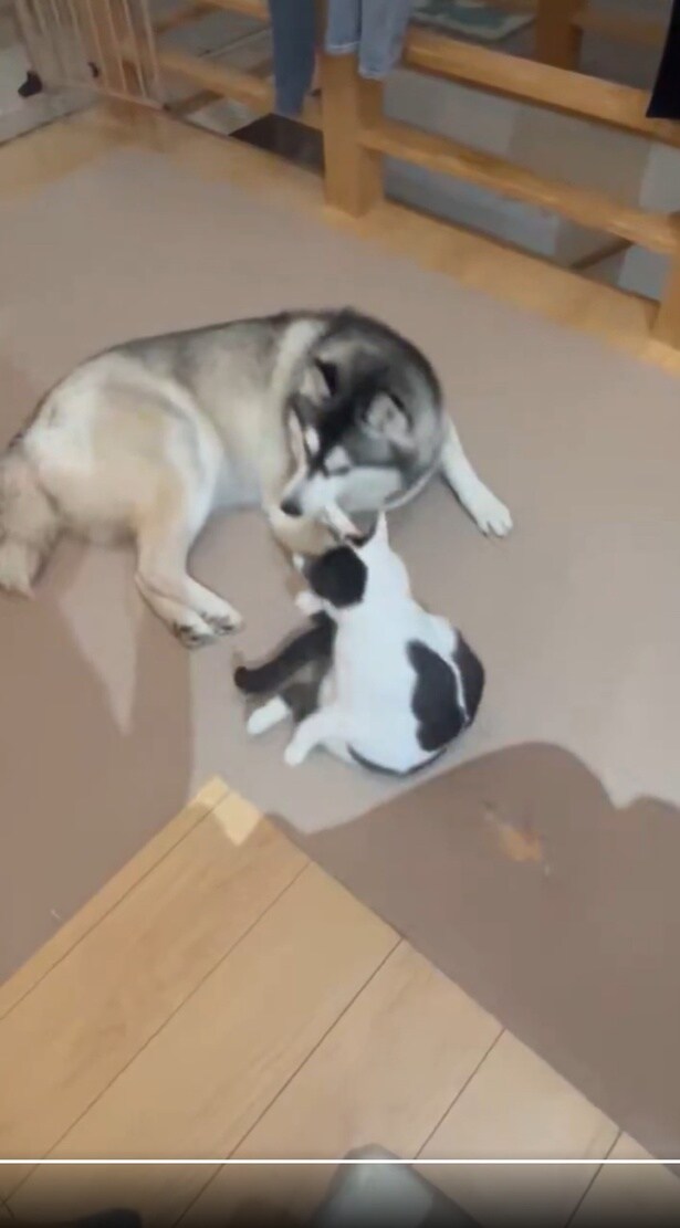 クリティカルヒット!▶なんだか理不尽…(⇒次へ)