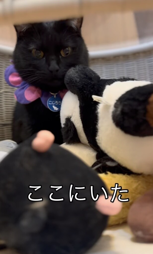 いたのはまさかの場所…▶テーブルの下!!(⇒次へ)