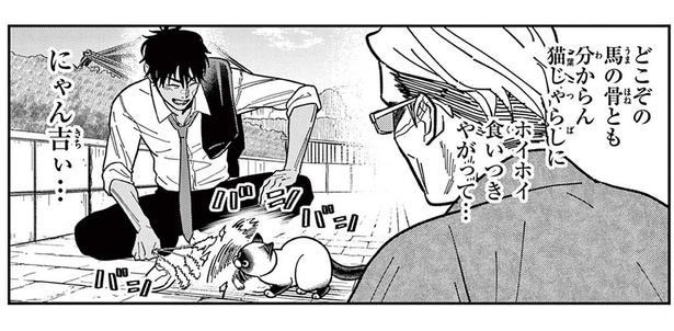 「そんなに安い男だったのか?」知らない人のじゃらしに食いつく猫にショック！