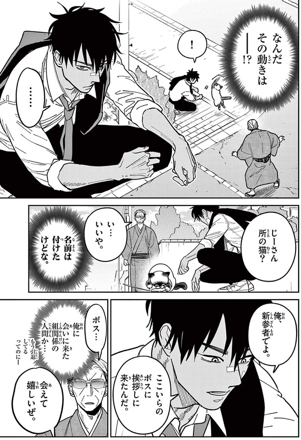 じーさん所の猫？