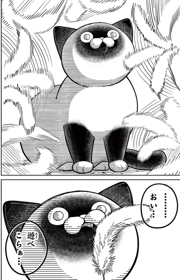 ...おい...遊べこらぁ