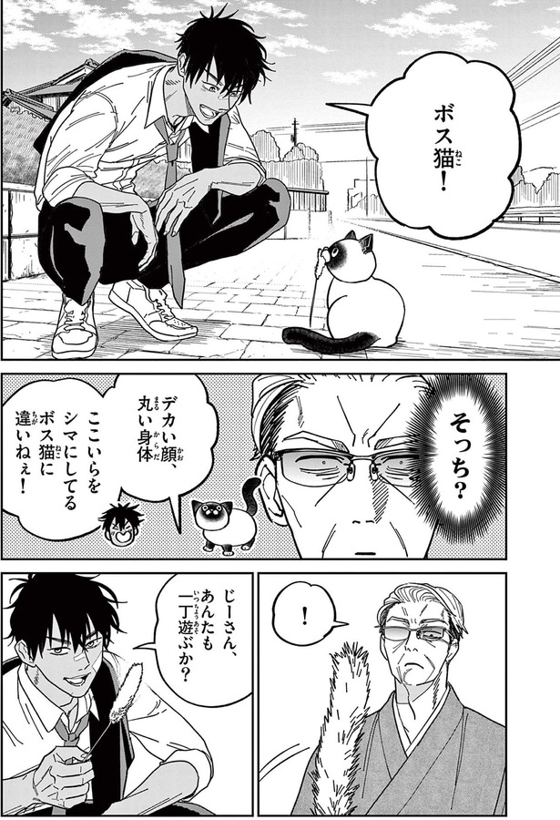 ボス猫！
