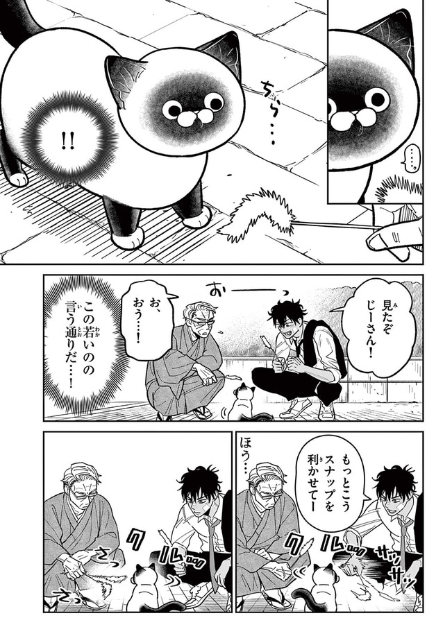 この若いのの言う通りだ...！