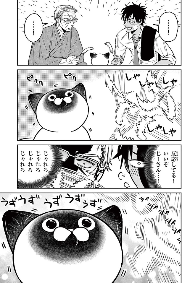 じゃれろじゃれろ