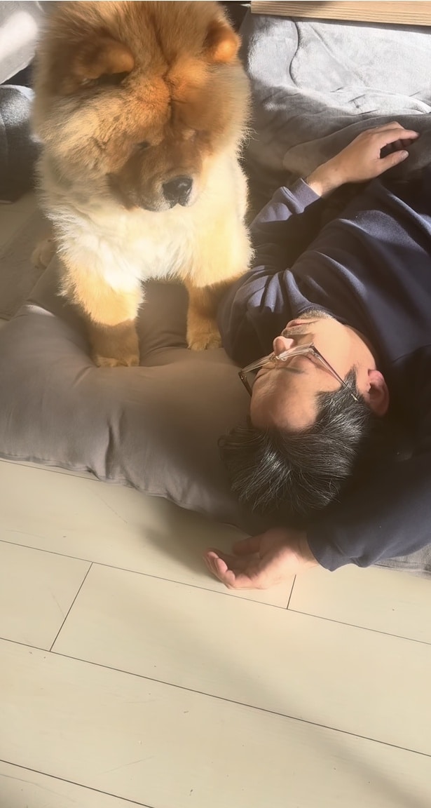 ちょこんと座るしめじくん（⇒次へ）