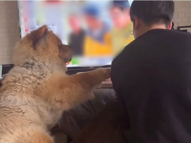 2人でこたつに入ってテレビを見る▶お父さんの肩を“トン”とたたくと…（⇒次へ）