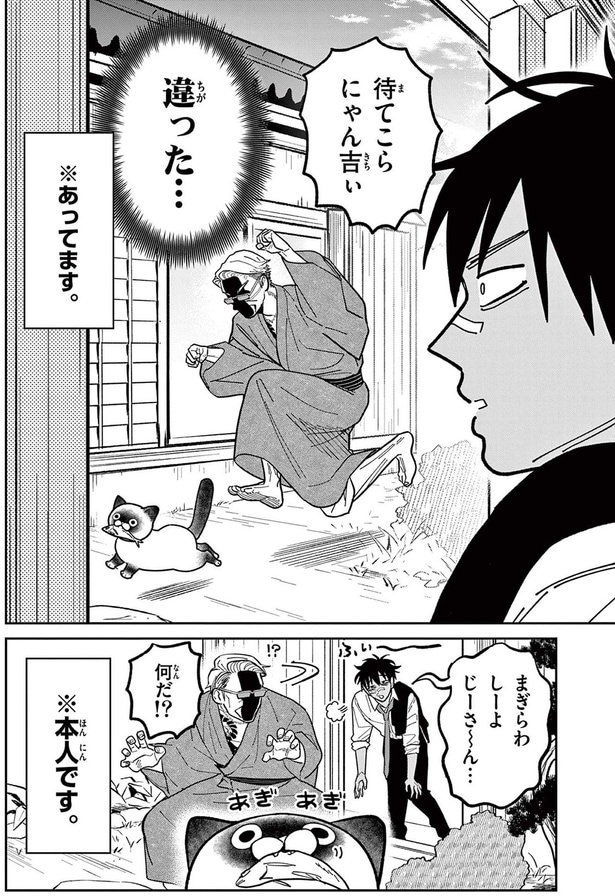 待てこら、にゃん吉ぃ