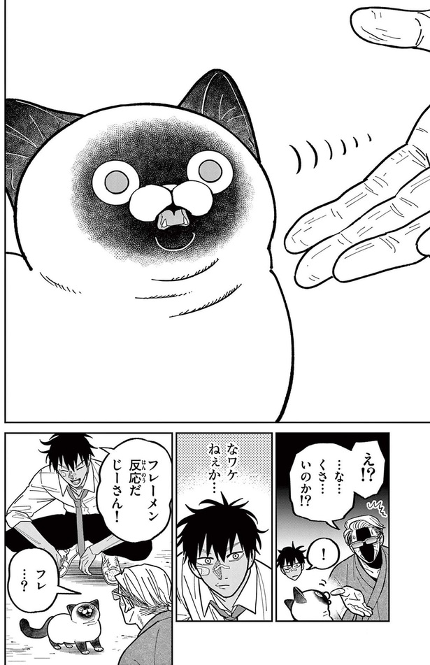 フレーメン反応だ、じーさん！