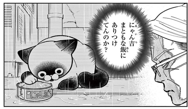 「飯にありつけてんのか?」雨の日に姿を現さない野良猫が心配すぎる!