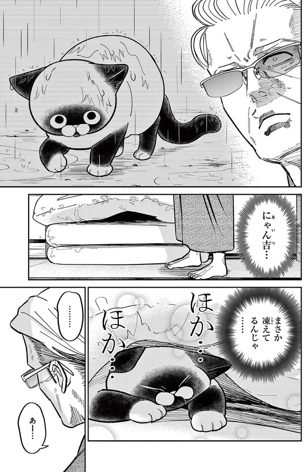 まさか凍えてるんじゃ......