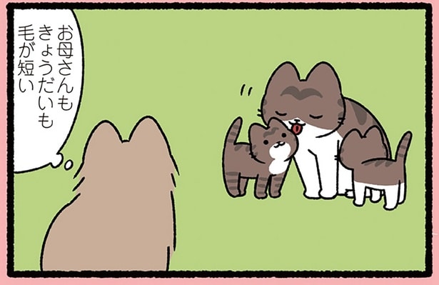 お母さんもきょうだいも…