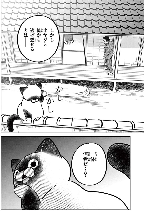 一体何者だ...？