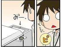 まずは検証！自分で試してみないと信じられないのは理系の性？