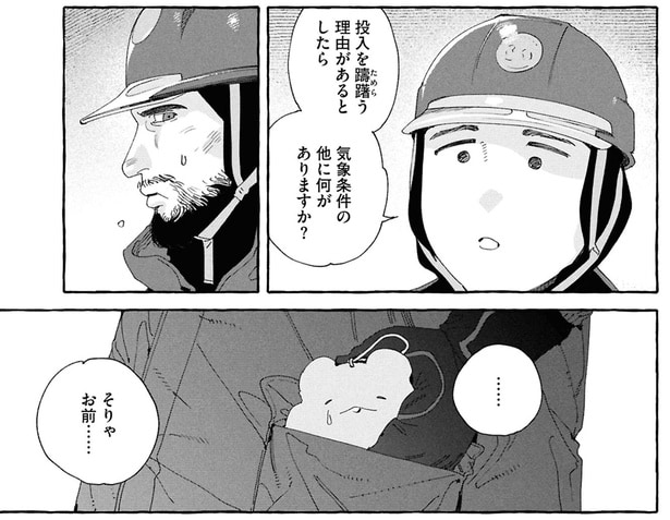 投入を躊躇う理由があるとしたら