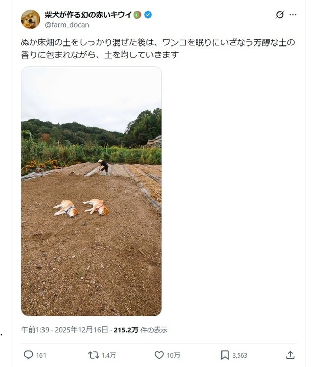 「ワンコを眠りにいざなう芳醇な土の香り」と投稿されたポストです▶畑の真ん中にいるのは…(⇒次へ)