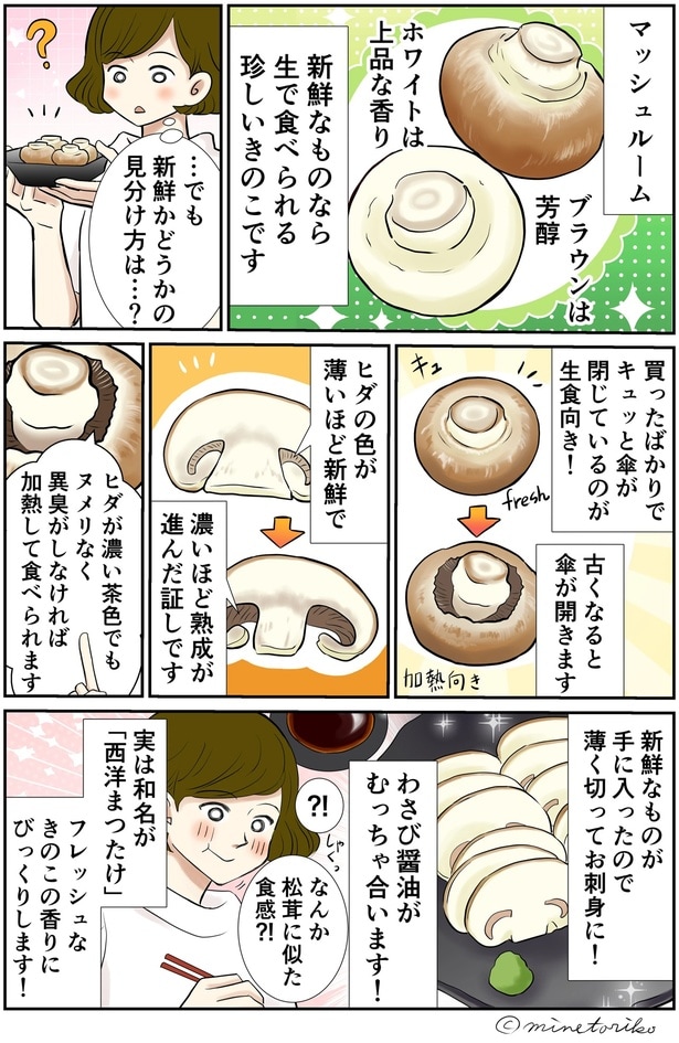 マッシュルーが新鮮かどうかの見分け方は…？