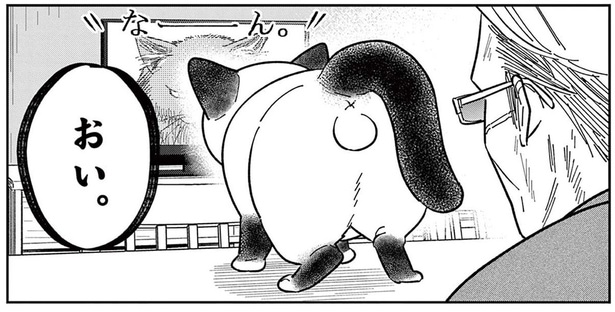 いつもはのんびり屋な野良猫。テレビに映る「ボス猫」をを見て豹変!?