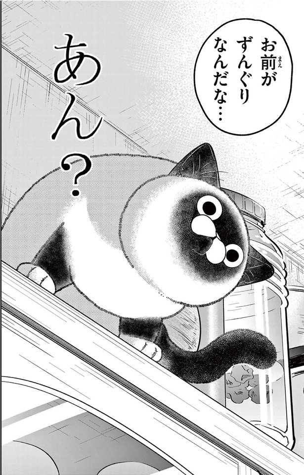 お前がずんぐりなんだな