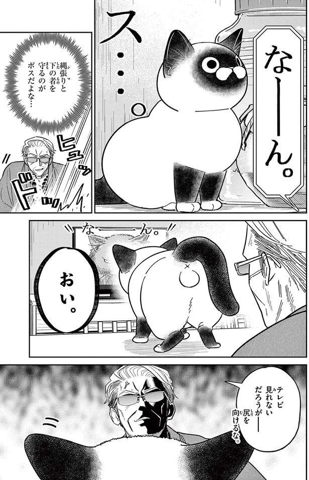 縄張りと下の者を守るのがボスだよな