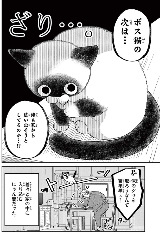ボス猫の次は...俺も家から追い出そうとしてるのか...！？