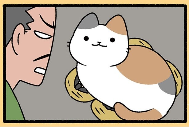 うわぁかわいい