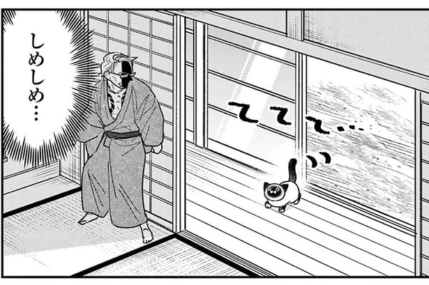 鳴き声を聞いてみたい！ 家によく来る野良猫にあの手この手をけしかけるも？