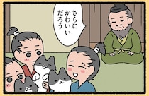 【3匹のねこの教え】1匹でも可愛いのに！ 集まってさらに可愛くなるねこたち