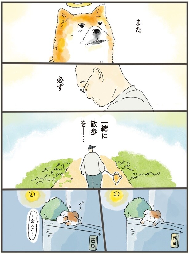 また必ず一緒に散歩を