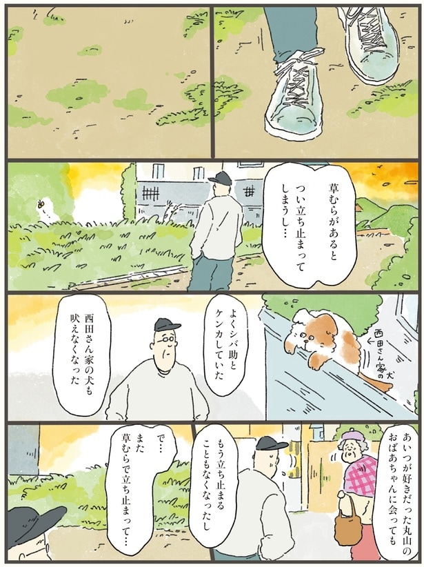 草むらがあるとつい立ち止まってしまうし…