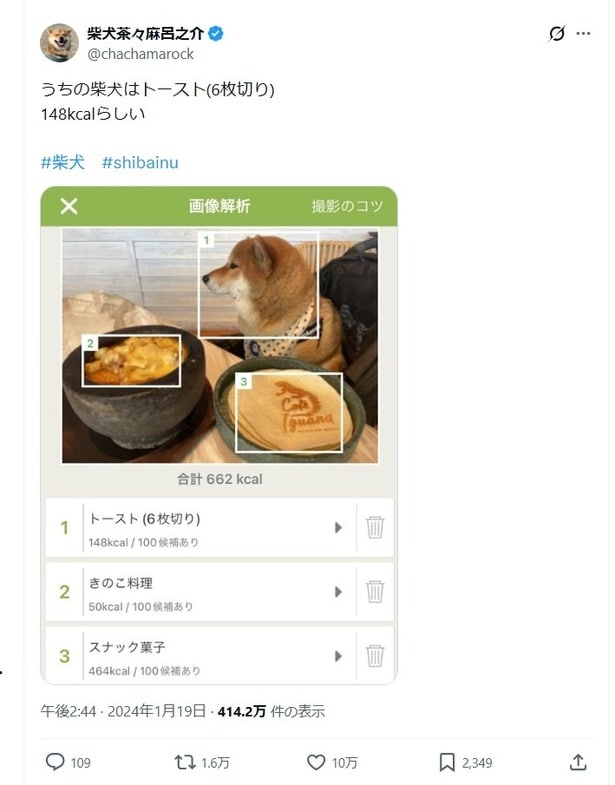 うちの柴犬はトースト（6枚切り）▶6枚切り…！？（⇒次へ）