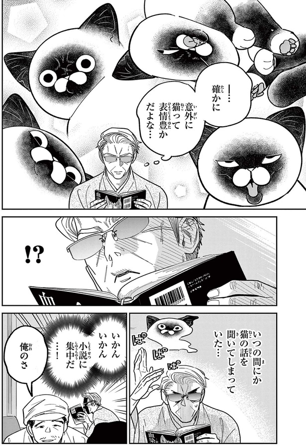 確かに意外に猫って表情豊かだよな...