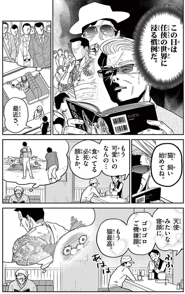 猫、飼い始めてね